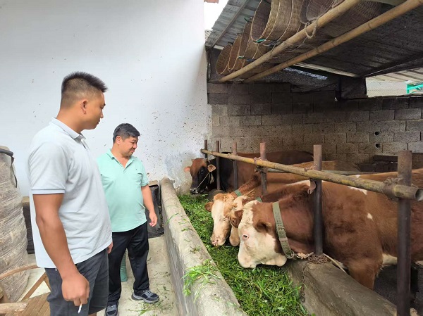 2ace66571003267a68f2f3e7df632d6a