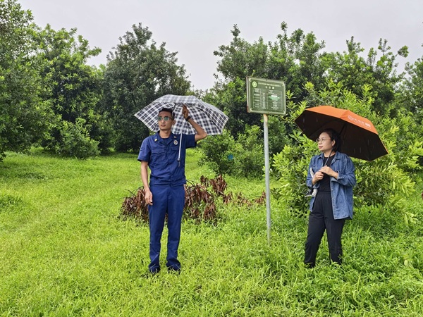 8月21日文化站和消防队人员到文物保护点巡查。