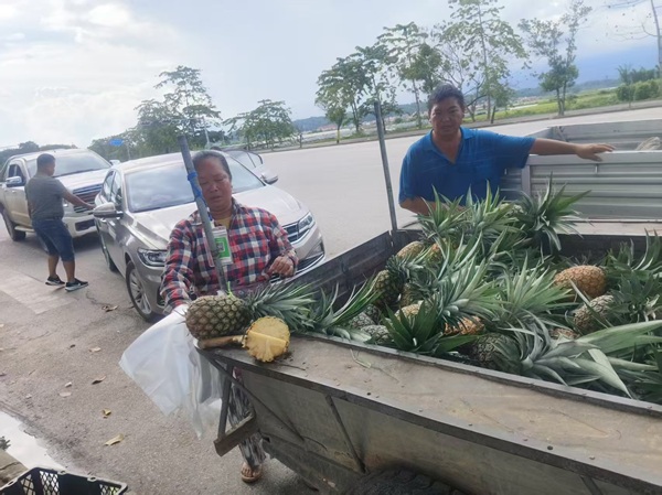 b4e764ae2bf88676b3f6a108f2958c1a