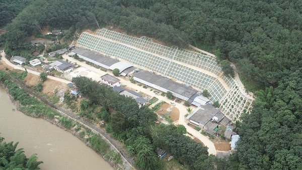 55da3a23b5d00f7f03e0933ea65fef33