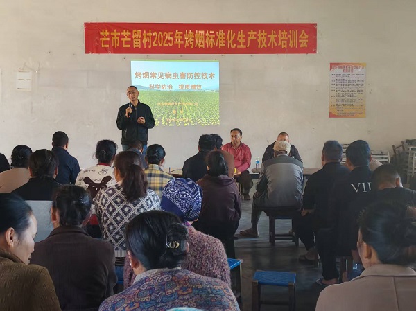 11.13州烟站、香料烟公司风平收购站、镇综合保障和技术服务中心到芒留村召开烤烟标准化生产技术培训会