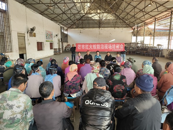 24-26日市农业农村局植保站到风平村委会各小组召开红火蚁防治培训会