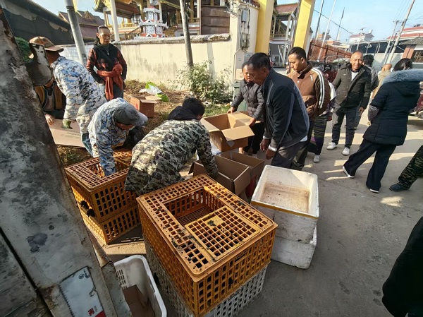 399b39627c551635979e2176d0d2b923