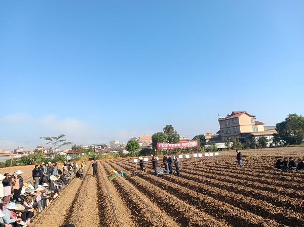 f650a9efcf4c13f3cb66b83d048802a0