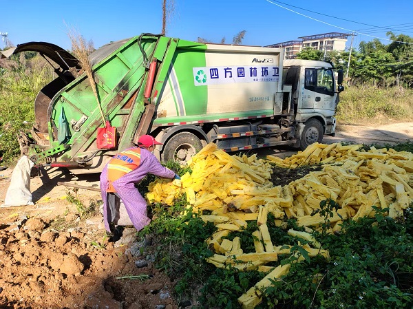 ef0ffe68e45ea8f1a021863a15cd16ba