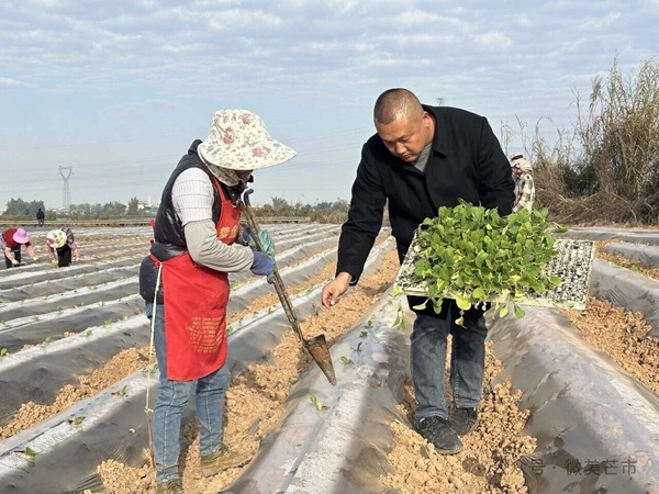 7fe92e869c041db55f3d8c48fabd01b2