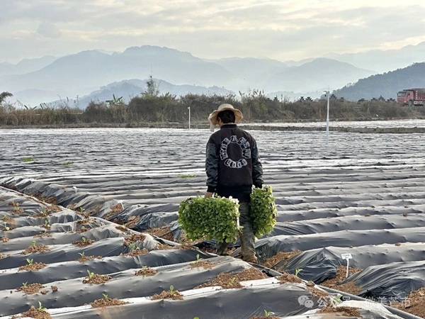 9e536017c569a231ec1be6bd586e9e4f