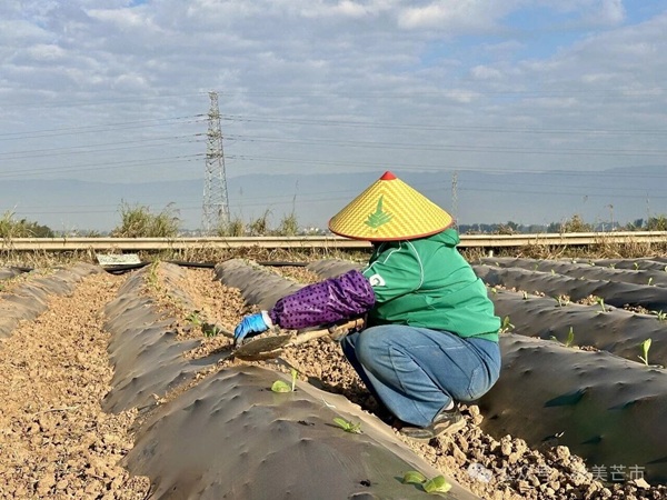 300cbb2e34e3457ab0dce3219d138ae7