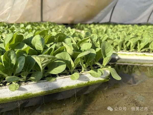 f268d0ba54e8e51b62b0eae1995232f8