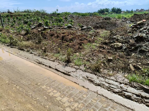 镇交通办到兴侨社区查看部分乡道道路积水问题。