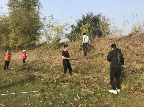 QQ截图20190313150210