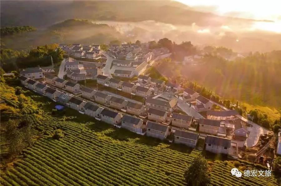 微信图片_20211223102951