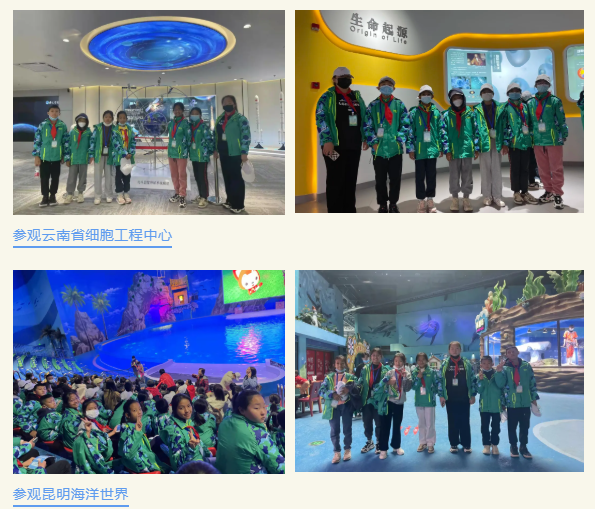 微信截图_20211224092727