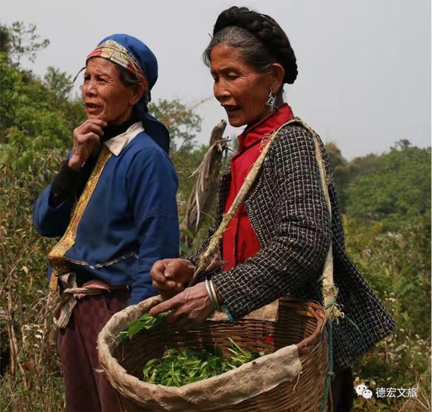 微信图片_20211206092406