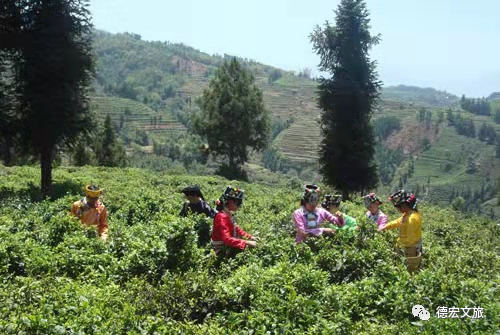 微信图片_20211206092417