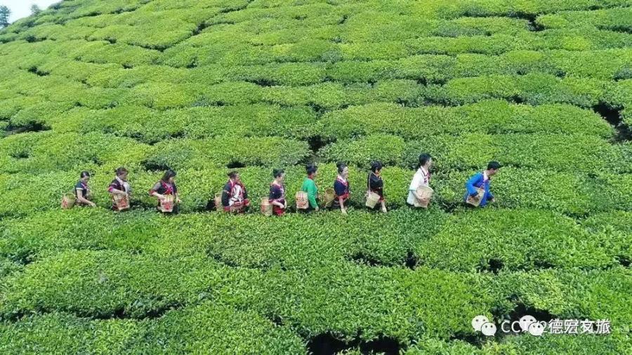 微信图片_20211206092420