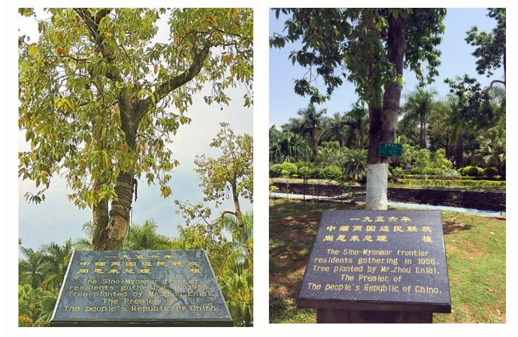 微信截图_20211129101135