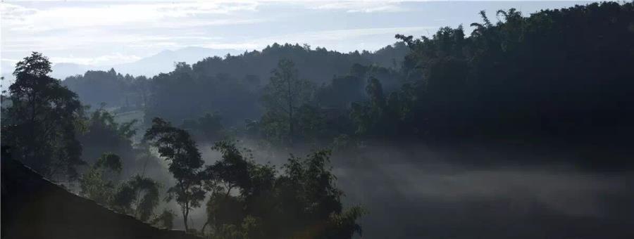 QQ图片20170615111009