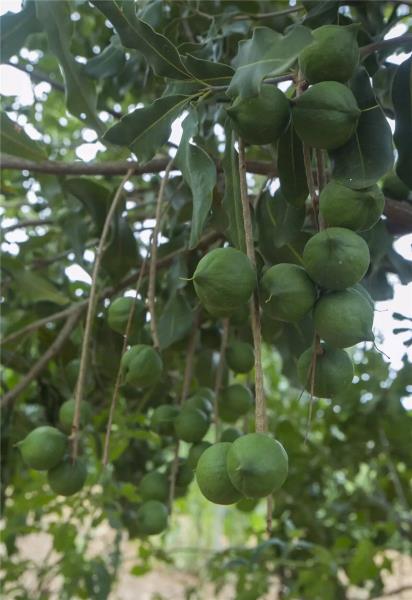 QQ图片20170615110945