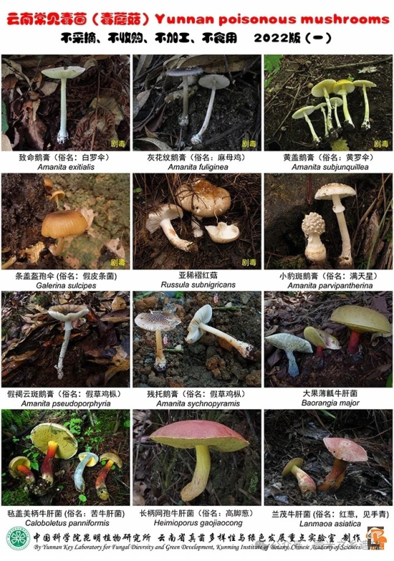 图片7
