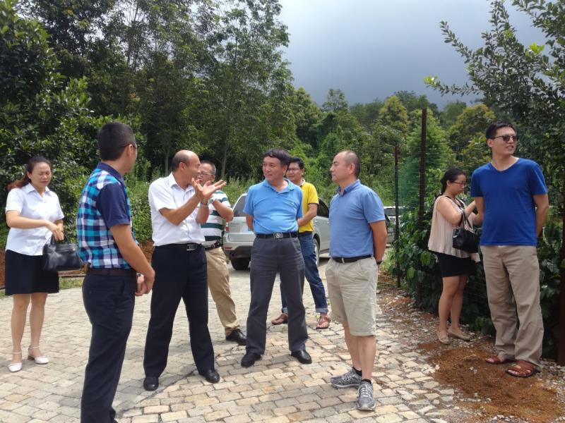 QQ图片20170725090751