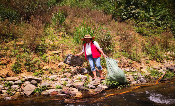 QQ图片20190614154252