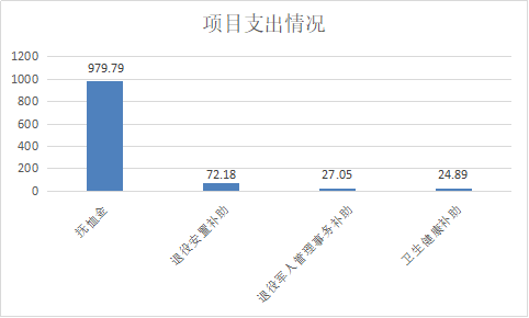 项目支出情况