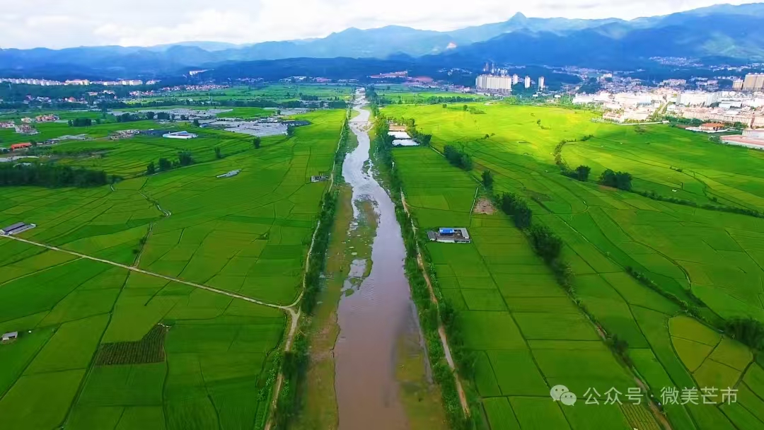 bf5c087151333181530df8083c4b78c4