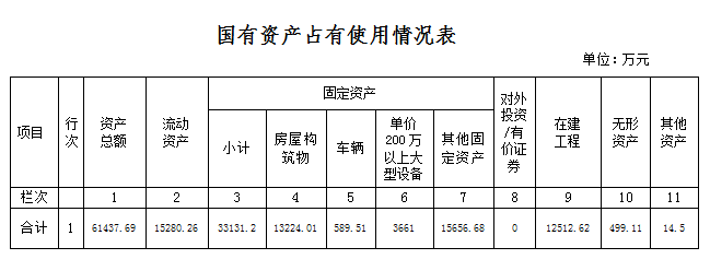 国有资产占有情况表