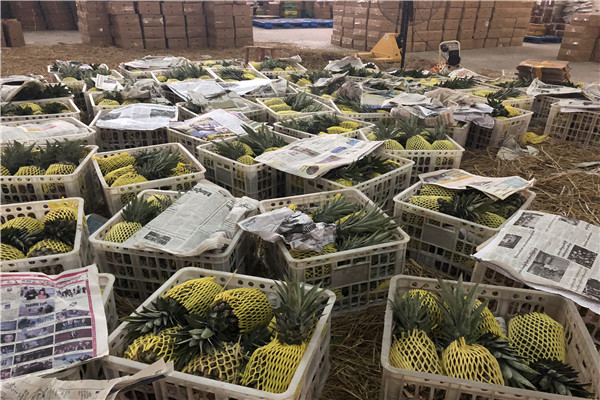 微信图片_20180628081607