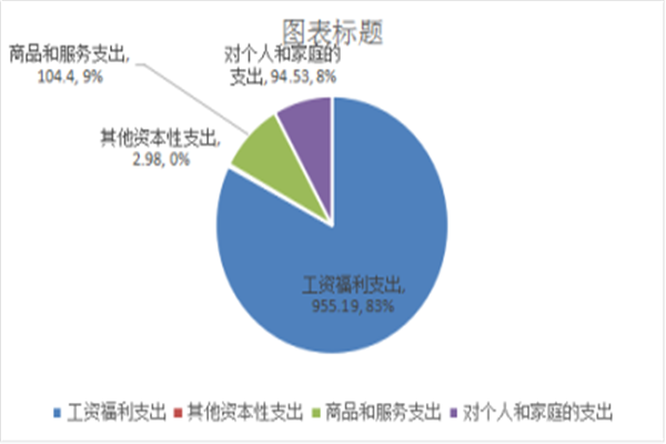 2017年度部门决算公开说明20181019112951992.003_副本