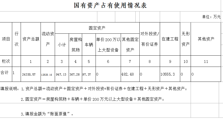 资产占用情况表