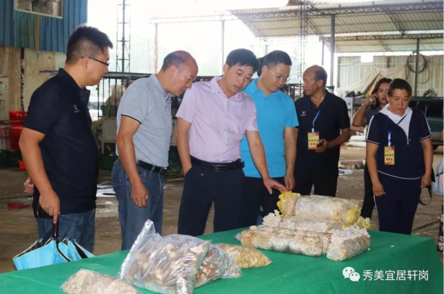 微信截图_20190627162409