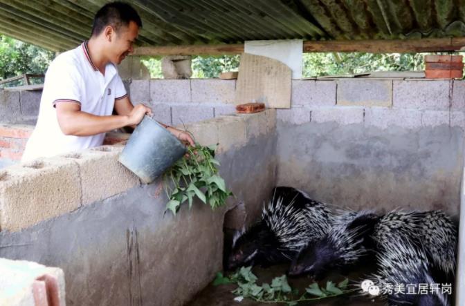 微信截图_20190805103143