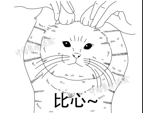 微信图片_20200103155552