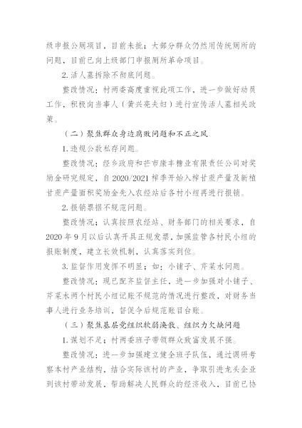 中共中山乡委员会关于巡察整改情况的通报_09