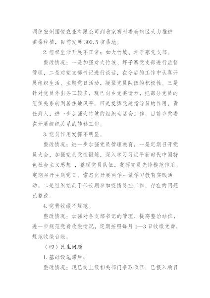 中共中山乡委员会关于巡察整改情况的通报_10