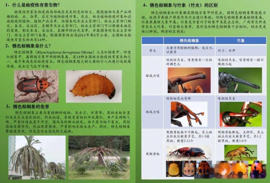 84f5cc1795674b688e99fadfcab90393