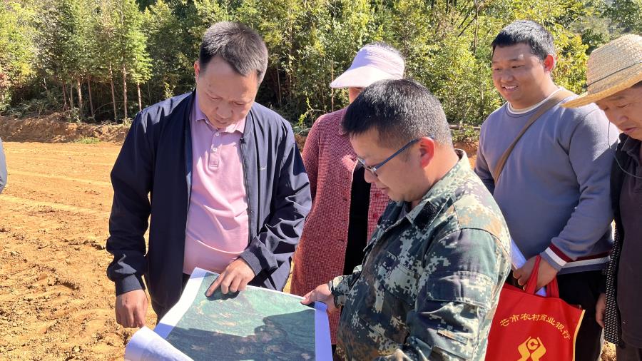 实地查看“坡改梯” (2)