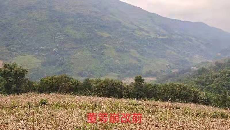 微信图片_20220218174420