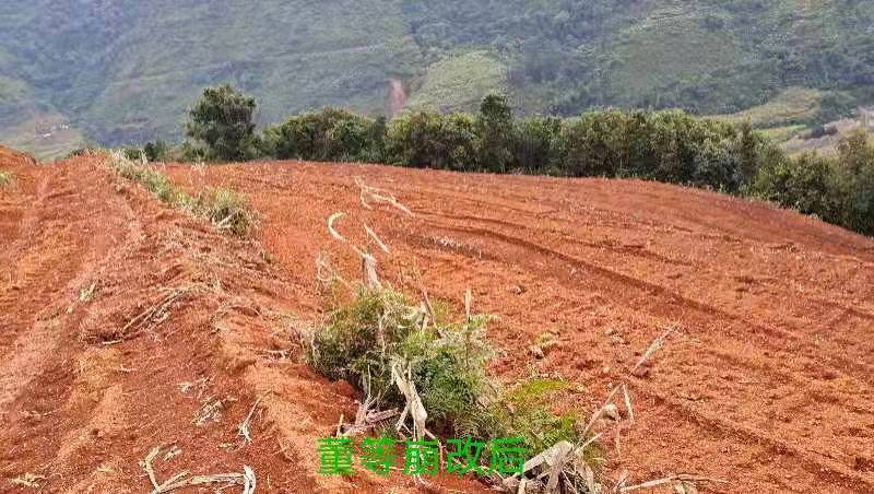 微信图片_20220218174424