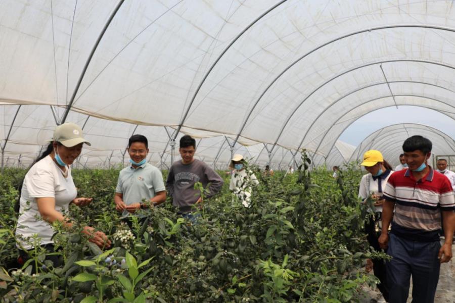 微信图片_20220518210207