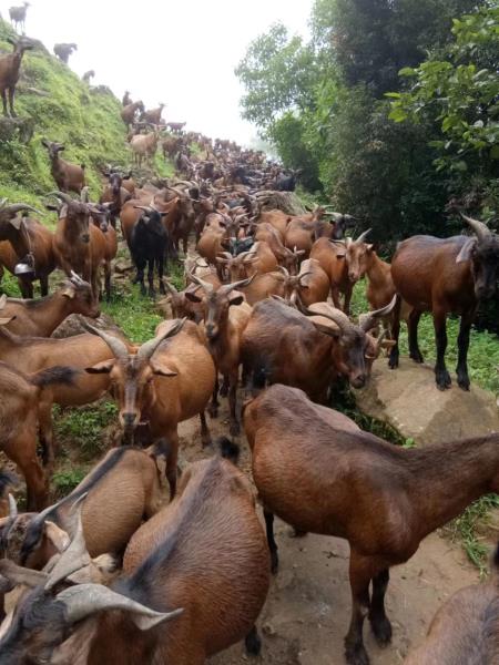 微信图片_20230516094955