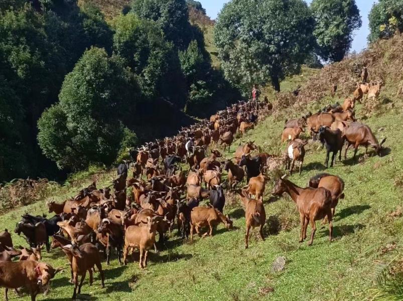 微信图片_20230516095039