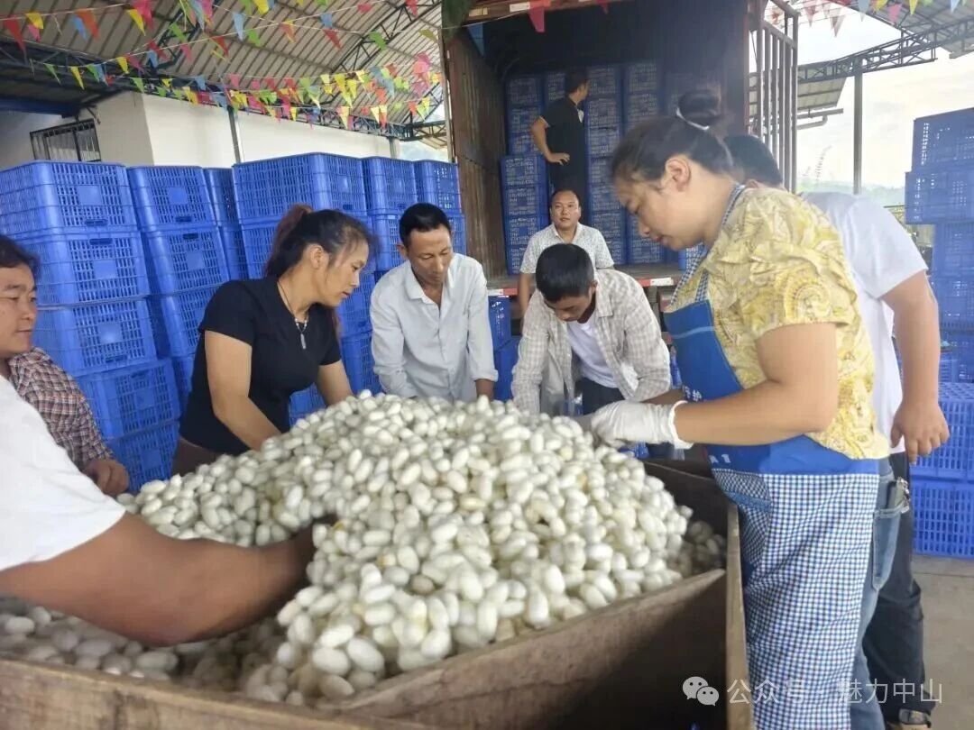 微信图片_2026-03-11_092016_126