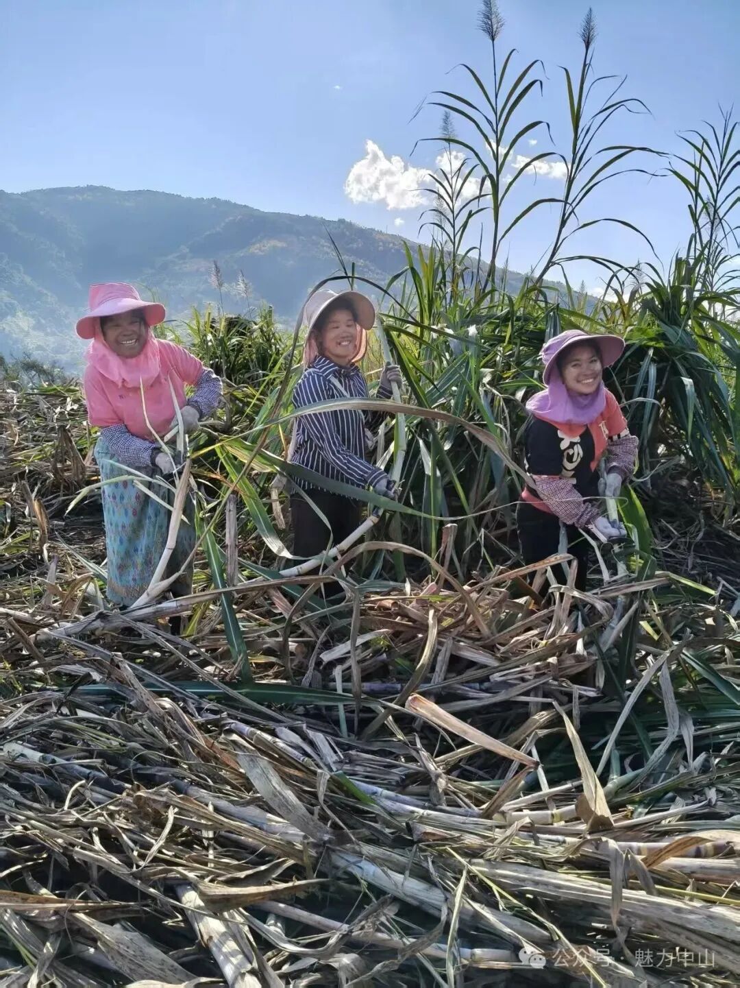 微信图片_2026-03-11_094000_332