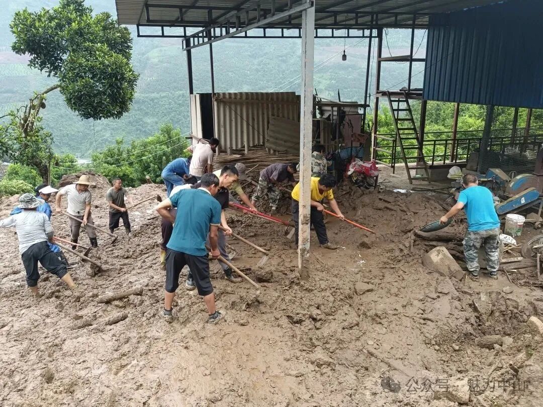 微信图片_2026-03-11_104717_191