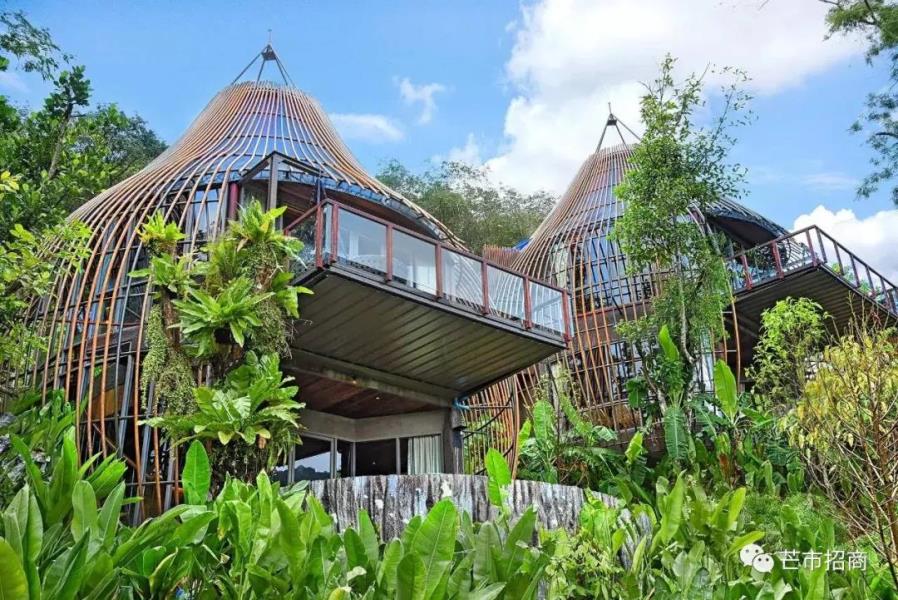 招商孔雀谷半山野奢康养酒店及动植物园建设项目